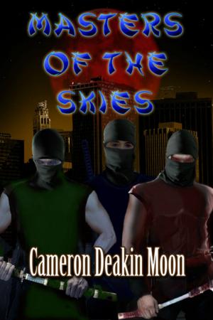 Cover of the book Masters of the Skies by Erik Daniel Shein, Melissa Davis