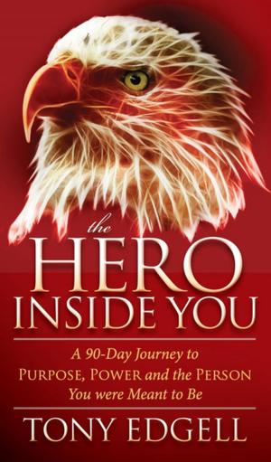 bigCover of the book The Hero Inside You by 
