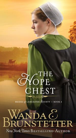 Cover of the book Hope Chest by Jennifer Johnson