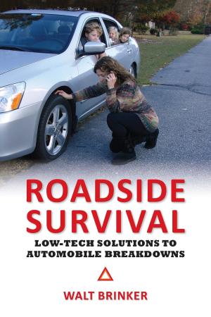 Cover of the book Roadside Survival by Marco Argiolas