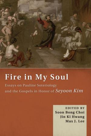 Cover of the book Fire in My Soul by Steve J. Havemann, Joe D. Batten