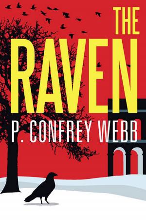 Cover of the book The Raven by Eric Ernstberger