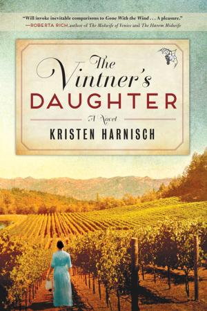 Cover of the book Vintner's Daughter by Susanna Solomon