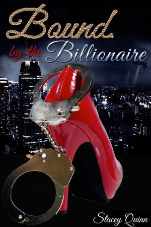 Cover of the book Bound by the Billionaire by Stacey Quinn, Kelly Martin