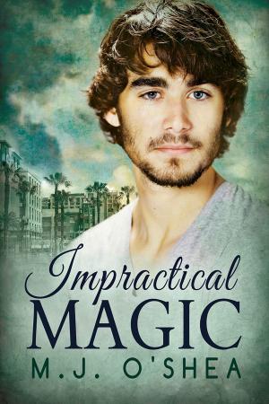 Cover of the book Impractical Magic by CJane Elliott