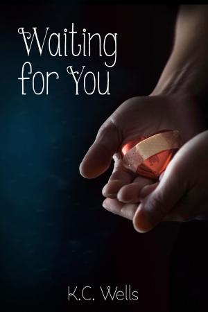 Cover of the book Waiting For You by Alana Ankh