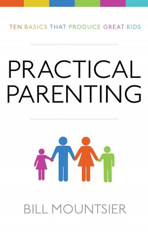 Cover of the book Practical Parenting by Dr. Reginald Oxendine