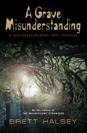 Cover of the book A Grave Misunderstanding by Linda Davies