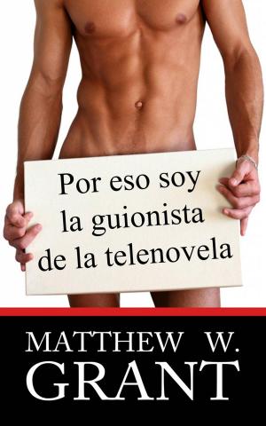 Cover of the book Por eso soy la guionista de la telenovela by Lou Magma