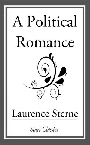 Cover of the book A Political Romance by Don Berry
