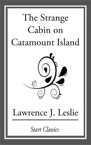 bigCover of the book The Strange Cabin on Catamount Island by 