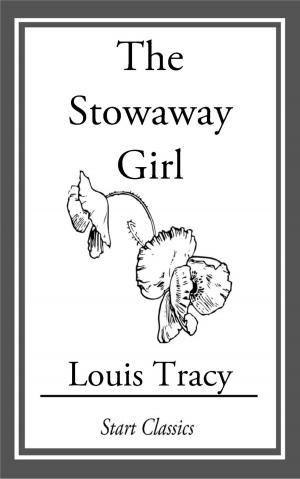 Book cover of The Stowaway Girl