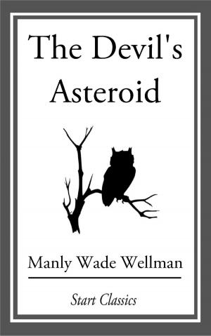 Cover of the book The Devil's Asteroid by Sewell Peaslee Wright