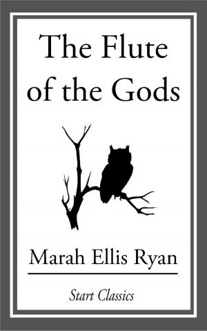 Cover of the book The Flute of the Gods by Anna Katharine Green