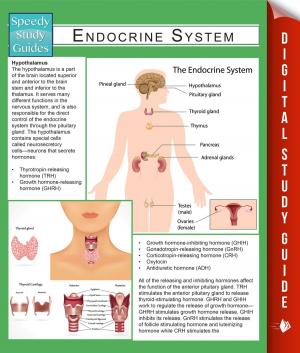 Cover of the book Endocrine System (Speedy Study Guides) by Jupiter Kids
