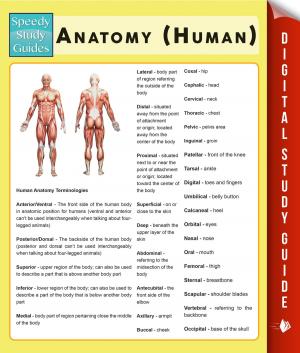 Cover of the book Anatomy (Human) (Speedy Study Guides) by Third Cousins, Arianna James