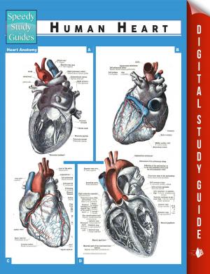 Cover of the book Human Heart (Speedy Study Guides) by Samantha Michaels