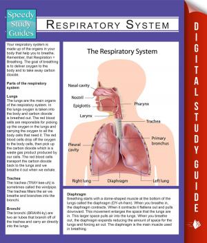 Cover of the book Respiratory System (Speedy Study Guides) by Faye Sonja