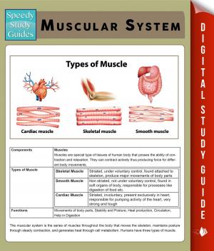 bigCover of the book Muscular System (Speedy Study Guides) by 