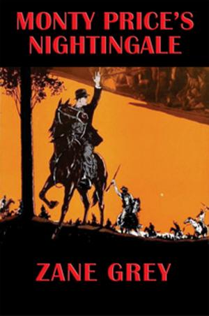 Cover of the book Monty Price's Nightingale by David C. Knight