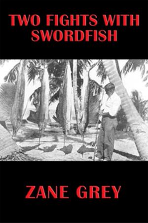 Cover of the book Two Fights With Swordfish by Darin Letzring