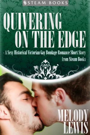 Cover of the book Quivering on the Edge - A Sexy Historical Victorian Gay Bondage Romance Short Story from Steam Books by Logan Woods, Steam Books