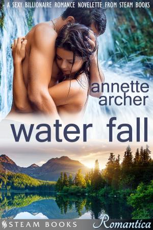 Cover of the book Water Fall - A Sexy Billionaire Romance Novelette from Steam Books by Logan Woods, Steam Books