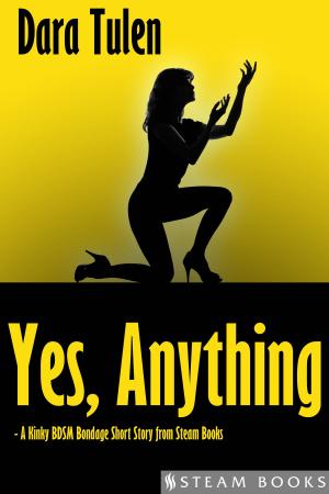 Cover of the book Yes, Anything - A Kinky BDSM Bondage Short Story from Steam Books by Annette Archer, Steam Books