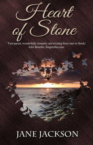 Cover of the book Heart of Stone by Steve Garrett