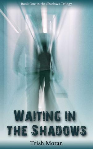Cover of the book Waiting in the Shadows by Lesley Cookman
