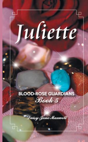 Cover of the book Juliette by David Pontin