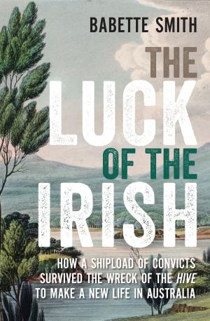 bigCover of the book The Luck of the Irish by 