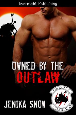 Cover of the book Owned by the Outlaw by Georgia Fox