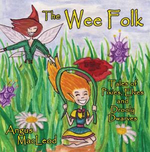 Cover of the book The Wee Folk: Tales of Pixies, Elves and Drooly Dwarves by Jack E. George
