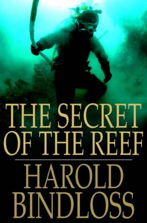 Cover of the book The Secret of the Reef by Thomas Hardy