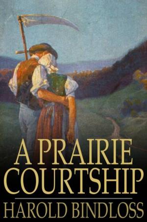 Cover of the book A Prairie Courtship by J. Storer Clouston