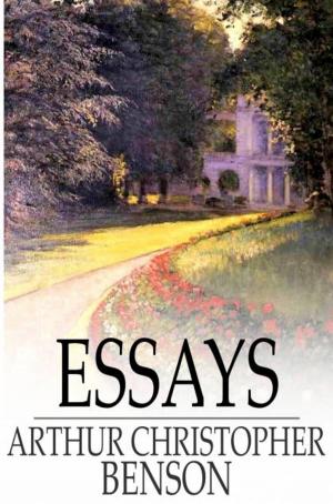 Cover of the book Essays by George A. Birmingham