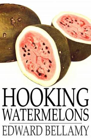 Book cover of Hooking Watermelons