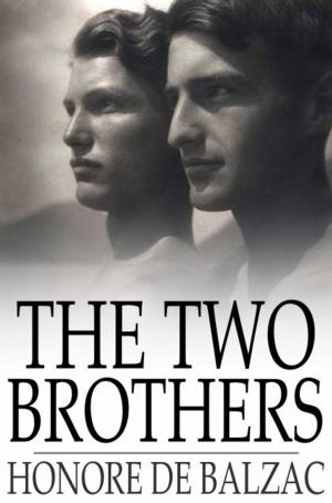Cover of the book The Two Brothers by Alexandre Dumas