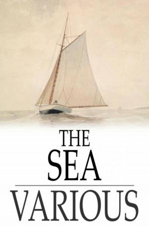 Cover of the book The Sea by Laurent Bègue