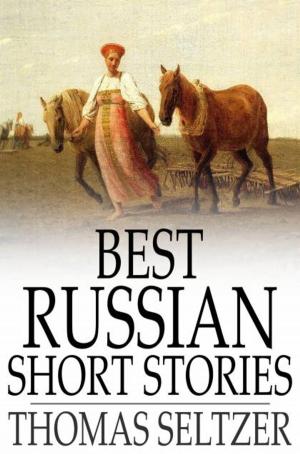 Cover of the book Best Russian Short Stories by Jean Villiot