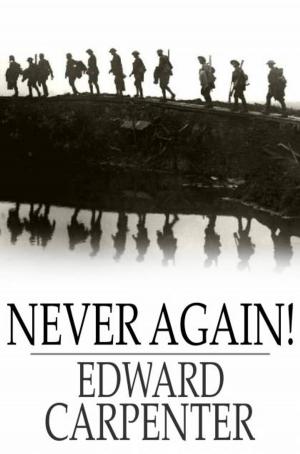 Cover of the book Never Again! by Sir Walter Raleigh