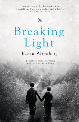 Cover of the book Breaking Light by Laurie Graham