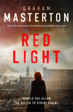 Cover of the book Red Light by Paul Kenyon