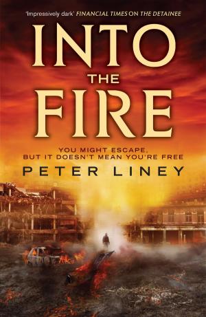Cover of the book Into The Fire by Dairenna VonRavenstone