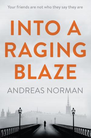 Cover of the book Into a Raging Blaze by Andrew Caldecott