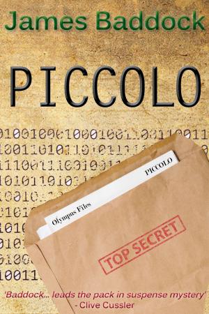 Cover of the book Piccolo by Scott Tierney
