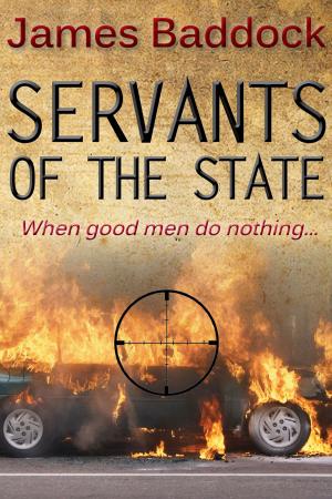 Cover of the book Servants Of The State by Lynnette Porter