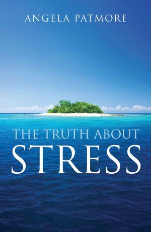 Cover of the book Truth About Stress by Michael Hampe