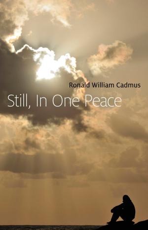 Cover of the book Still, In One Peace by Graham Harman